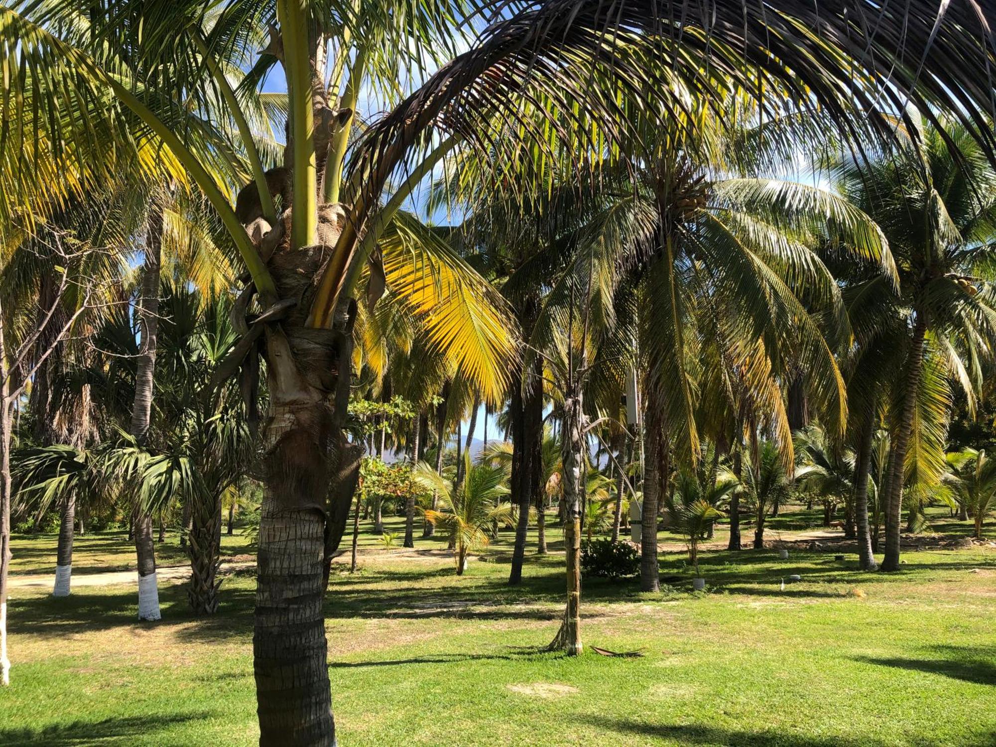 Casa Kundavi Beach Front Paradise Recado ภายนอก รูปภาพ